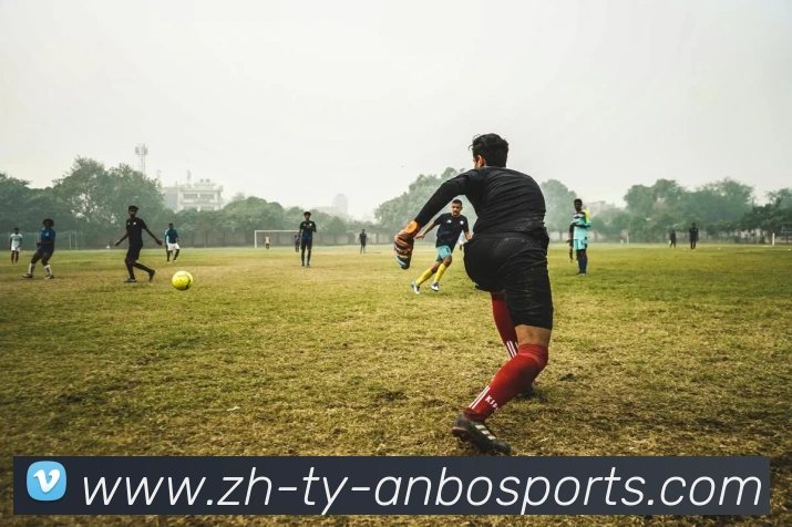 安博体育平台生态图