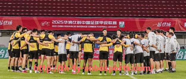 安博体育官网-意甲历届球队足球阵容回顾及明星球员介绍